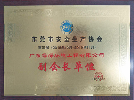 東莞市安全生產協會副會長單位