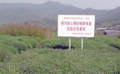 2020年的環保產業進入“深耕時代”