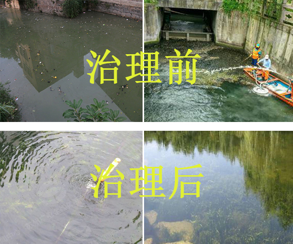 河道生態修復工程(圖1)
